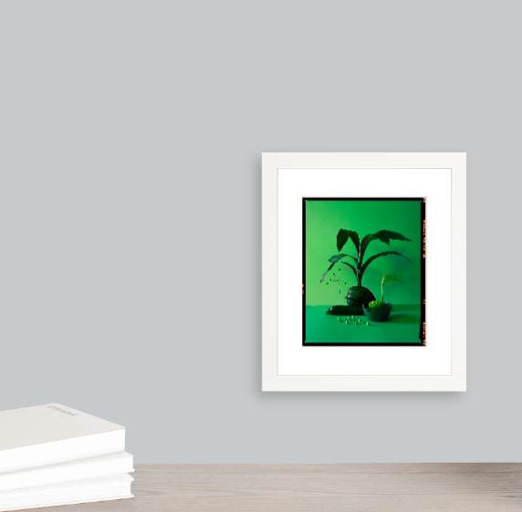 Tasting Color, Archival Print - Composition 3