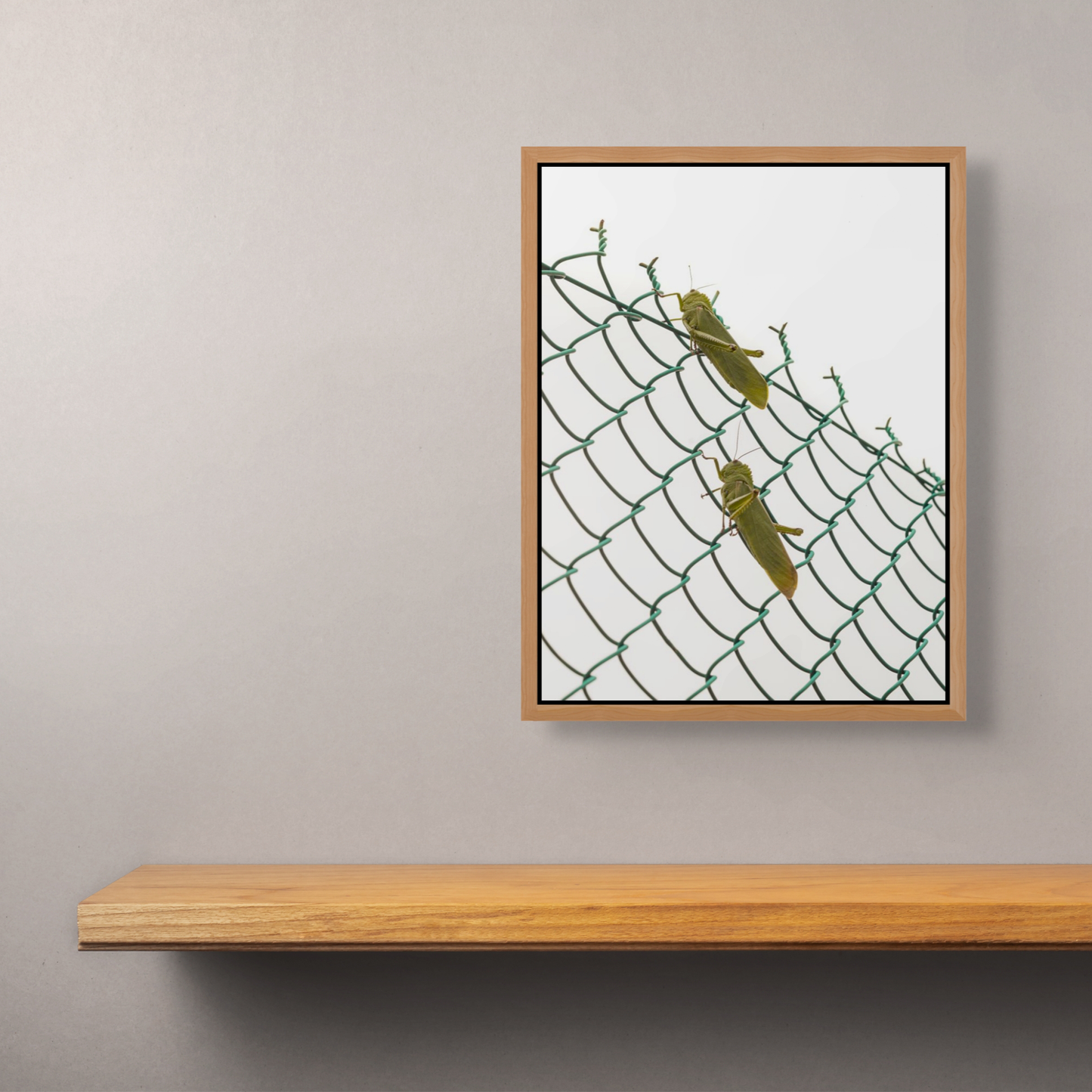 Good luck, good luck