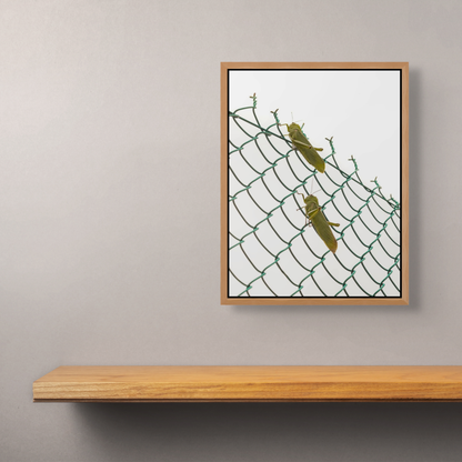 Good luck, good luck