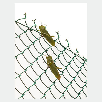 Good luck, good luck