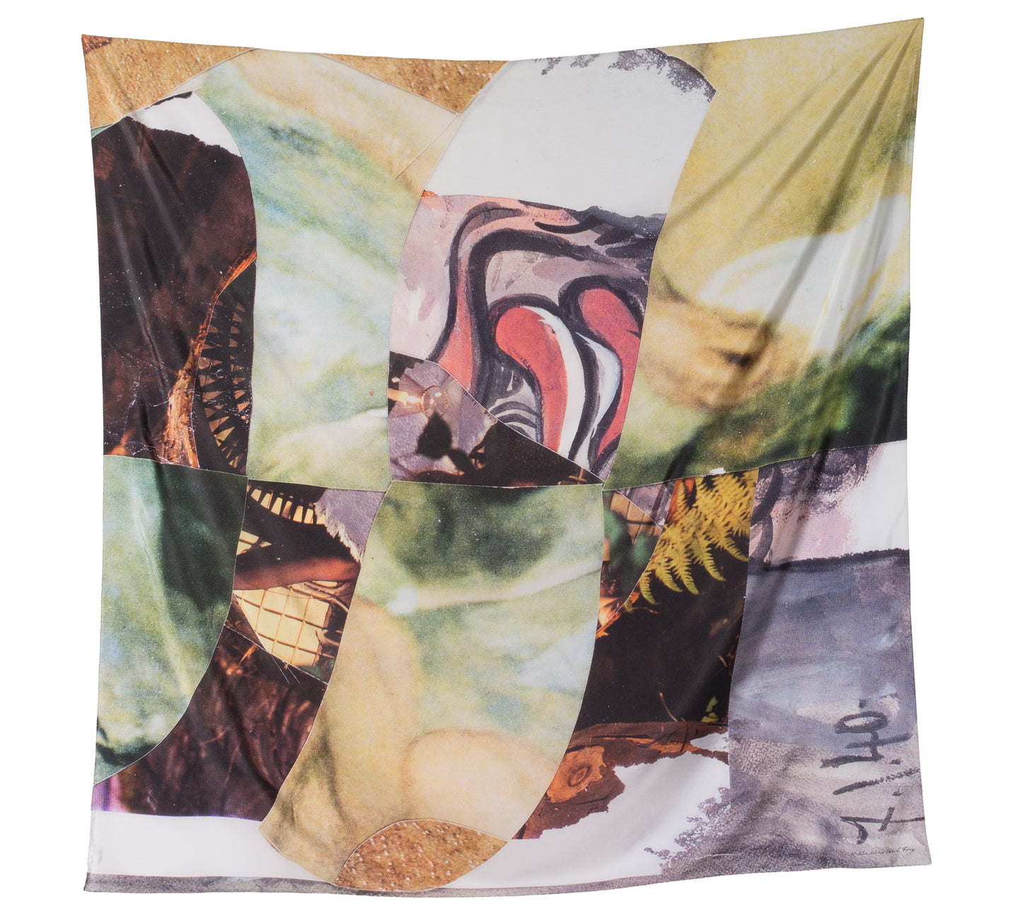 "Many Suns"  by David Renggli