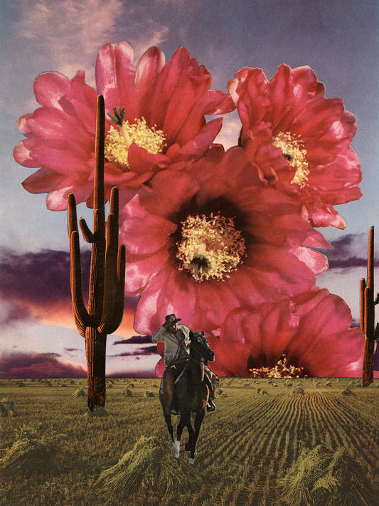 Untitled - Flowers II